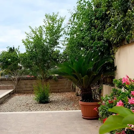 L'albicocco Ladispoli