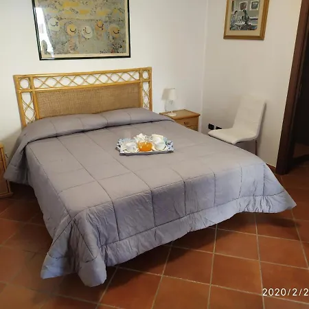 L'albicocco