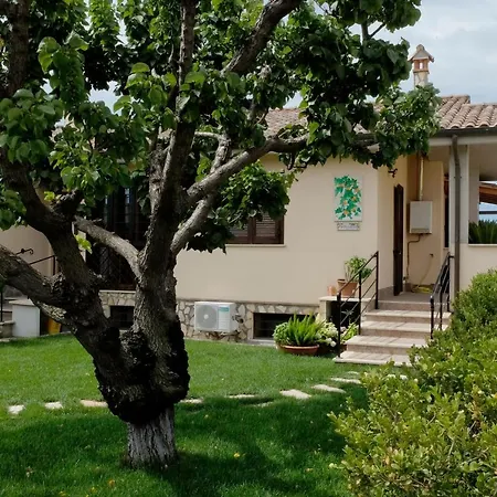 Bed & Breakfast L'albicocco *