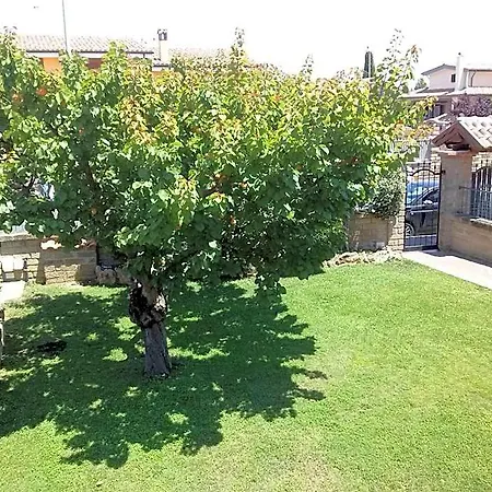 Bed & Breakfast L'albicocco 3*